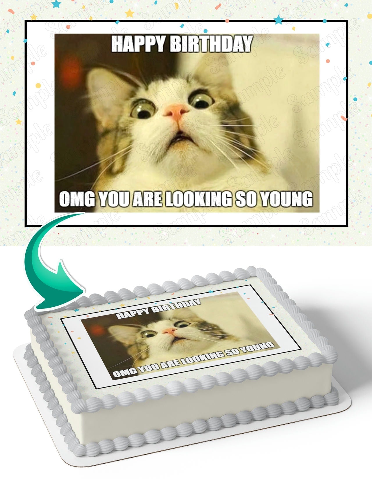 Cat Meme Edible Cake Topper