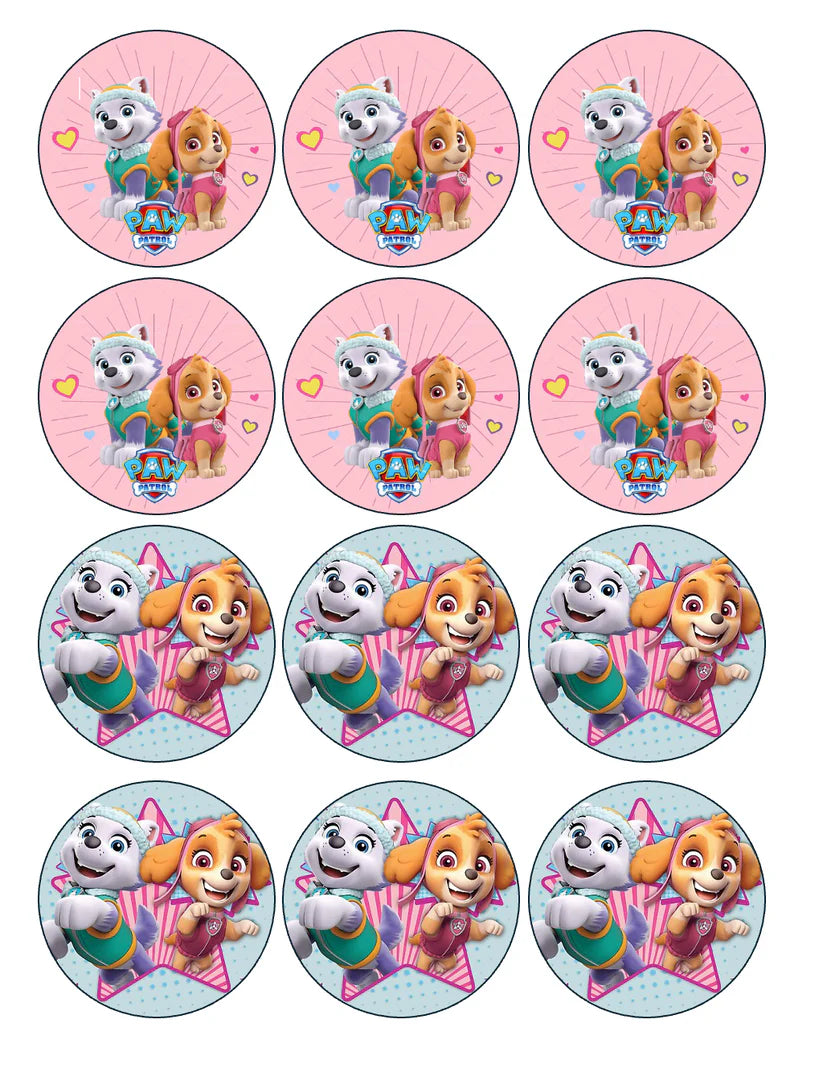 Paw Patrol Skye Pink Edible Cupcake Toppers Icing Sheet or Wafer Paper