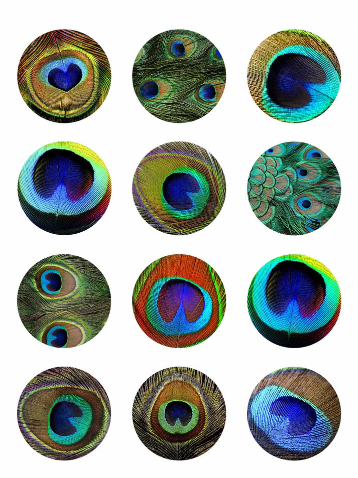 Peacock Feather Edible Cupcake Toppers Icing Sheet or Wafer Paper