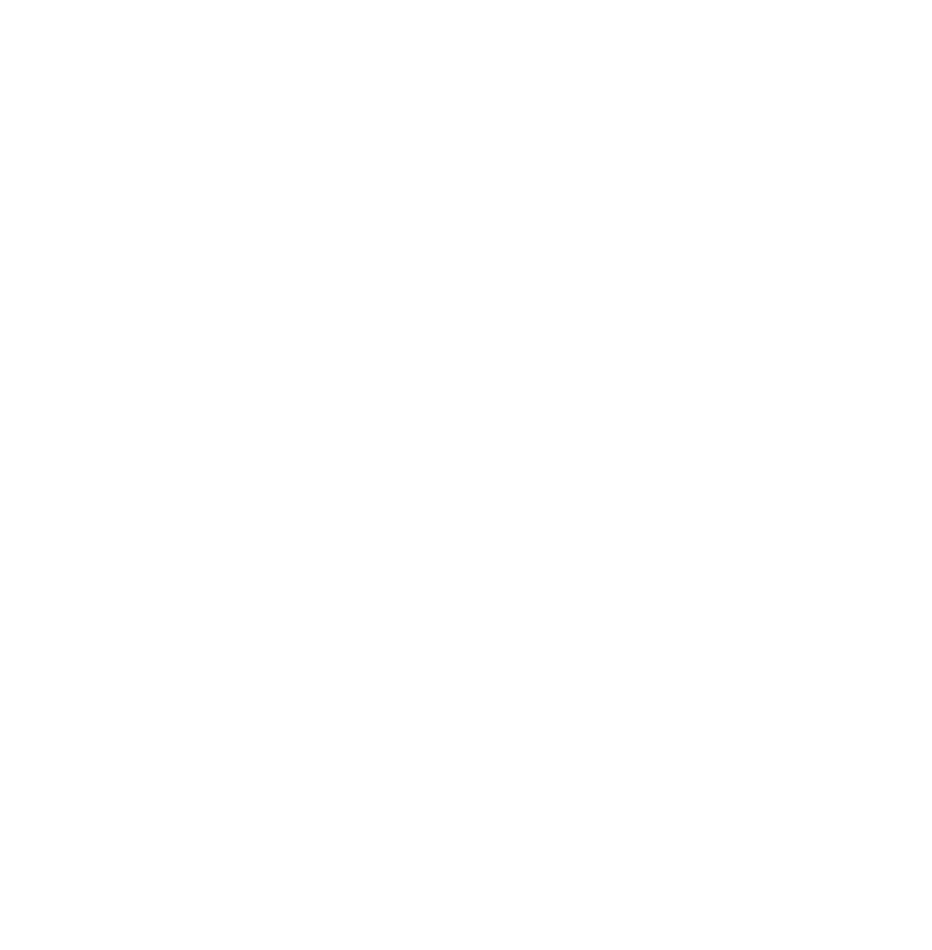 Custom Edible Sheets