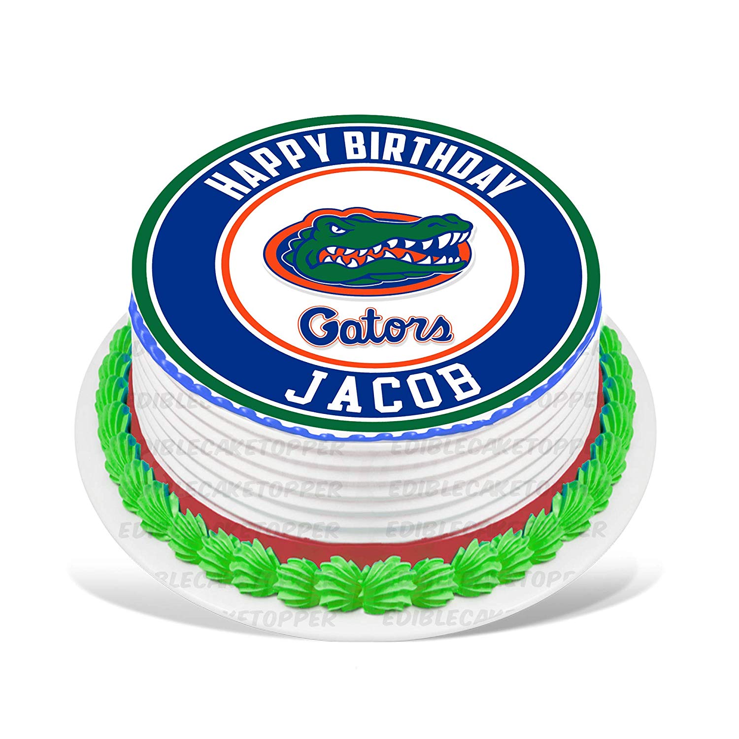 Florida Gators Round – Icing Sheet Birthday - Personalized Edible Cake Topper | Custom Icing Sheet | Birthday Cake Decoration | Photo Cake Image