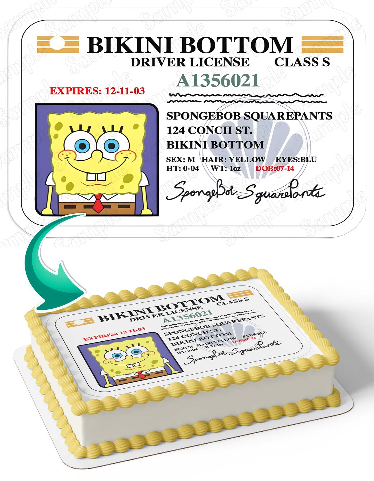 Square Pants Boy Bikini Bottom Driver License Edible Cake Topper